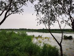-绿堤公园