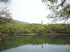 -紫霞湖公园
