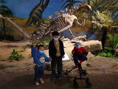 -自贡恐龙博物馆