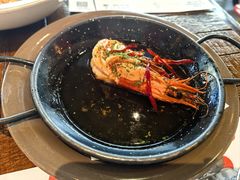 -TOMATITO(无限极荟店)