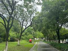 -西湖文化广场