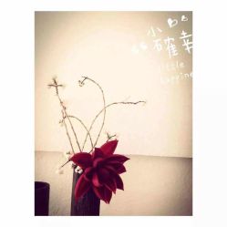 点击看大图 -Clover Beauty四葉美睫