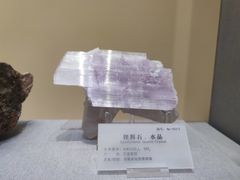 -湖南省地质博物馆