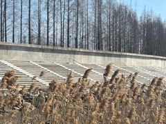 -瀛洲公园