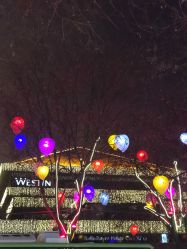 -西安威斯汀大酒店·宴会厅