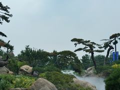 -罗红摄影艺术馆