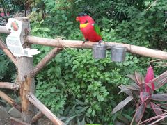 -南宫五洲植物乐园