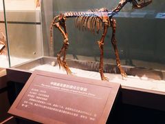 -大庆市博物馆