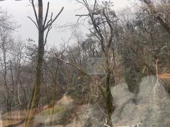 -润泽天·湘味家宴(岳麓山店)