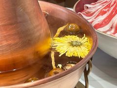 菊花活泉养生锅-东门口·新式老北京火锅(河西龙湖天街店)