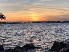 -宝安西湾红树林湿地公园