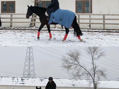 -北京群众马术培训基地