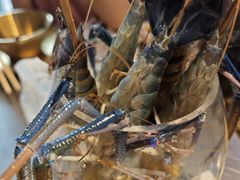 -琥珀川糟粕醋火锅(慈云寺店)