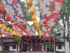 -南汇桃花村