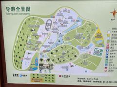 -广东茂名森林公园