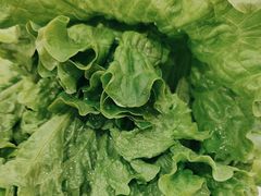 -揽月斋炙子烤肉·清真(安定门·五道营店)