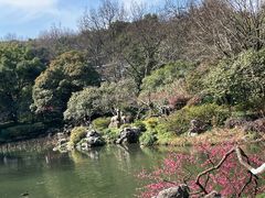 -杭州植物园