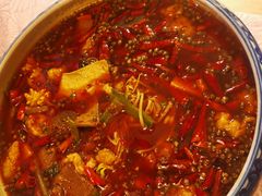 -陶然居·重庆菜(解放碑店)