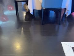 -眉州东坡(博雅店)