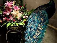 -弦月窗LUNETTE BY AMANDA(复兴路店)