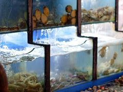 水产区-老东镇啤酒屋海鲜加工·蒸汽海鲜·海鲜烧烤(台东店)