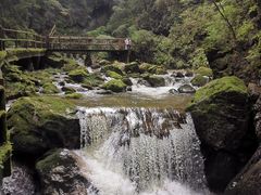 -牛背梁国家森林公园