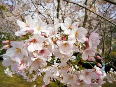 -幕燕滨江·长江观音景区