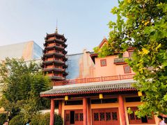 -青岛方特梦幻王国