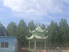 -秦皇岛野生动物园