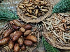 -昆虫窝子·特色云南菜(拓东路总店)