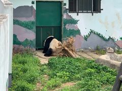 -无锡动物园·太湖欢乐园
