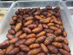 -正宁路小吃夜市