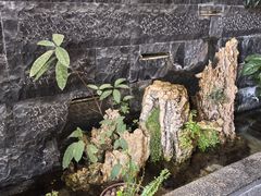 -野菌皇海景野生菌火锅(滨海大道店)
