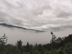 -鹿院坪生态旅游景区