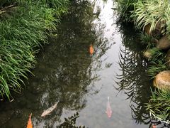 -万景饭店·鱼街农家菜