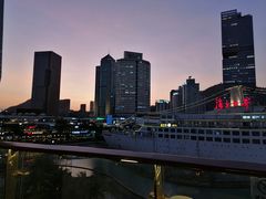 -润园四季椰子鸡火锅(海上世界店)