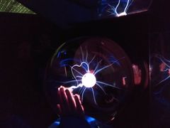 -陕西自然博物馆