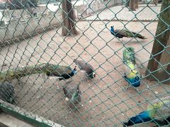 -南京金牛湖风景区