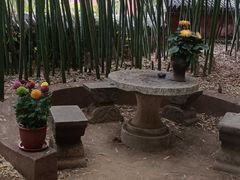 -泰山风景名胜区-普照寺