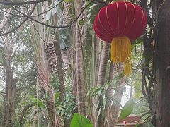 -海南热带野生动植物园