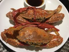 -339旋转餐厅(天府熊猫塔店)