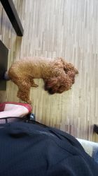 -JERRY日式美甲美睫纹绣工坊