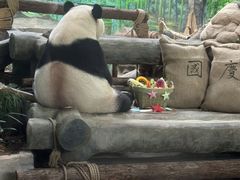 -灵玲国际马戏城