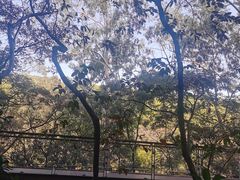 -广州市白云山风景名胜区