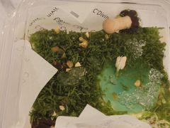 -米阿糯糕团•酒酿•甜品(莫愁店)