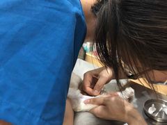 -瑞派名望24h动物医院异宠专科·猫专科·骨科·重症监护分院