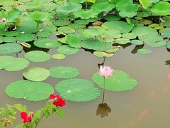 -西海子公园