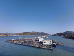 -盐洲岛