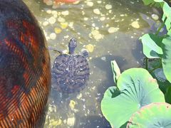 -瑜上·山食小馆