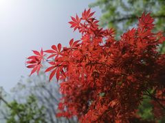 -南京珍珠泉风景区
